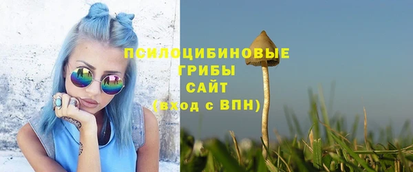 крисы Алзамай