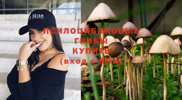 spice Алексеевка