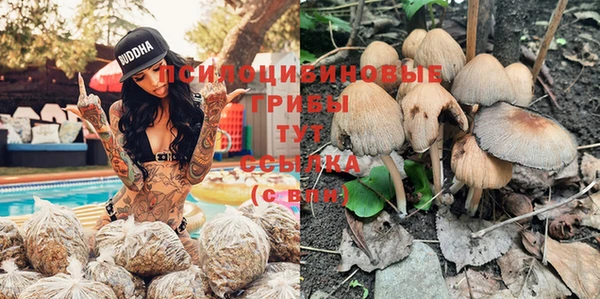 ALPHA PVP Алексин