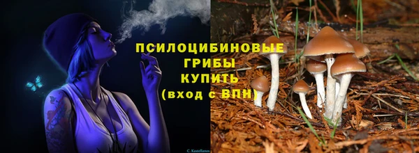 крисы Алзамай