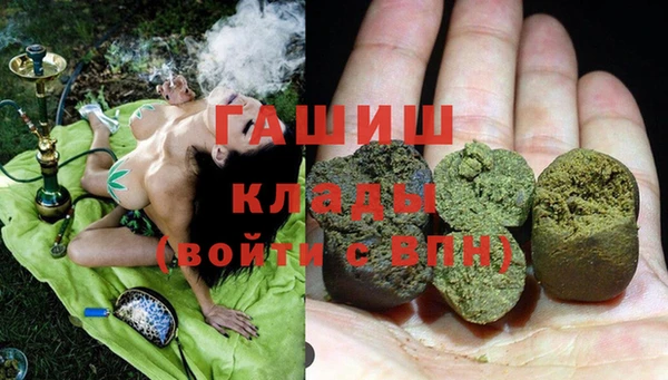 крисы Алзамай